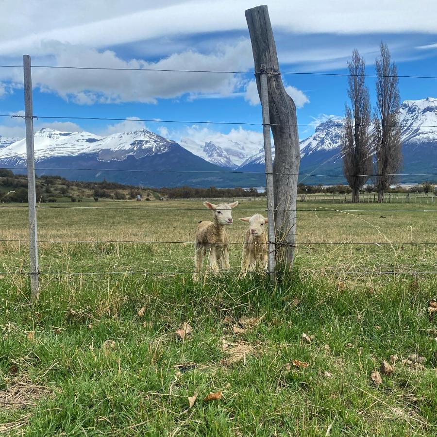 Estancia Nibepo Aike Colonia Francisco Perito Moreno Exterior photo