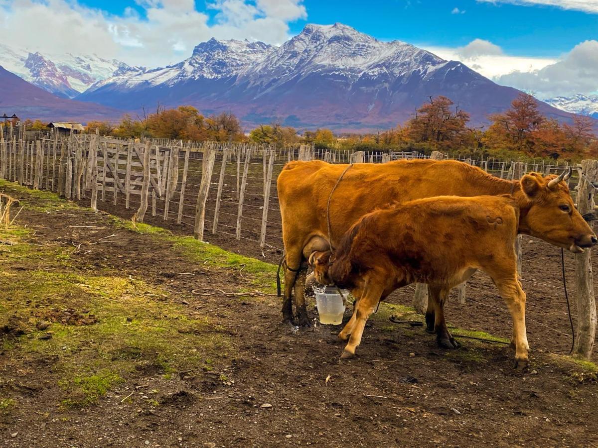 Estancia Nibepo Aike Colonia Francisco Perito Moreno Exterior photo