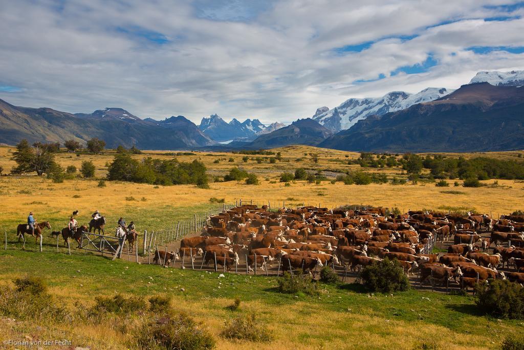 Estancia Nibepo Aike Colonia Francisco Perito Moreno Exterior photo